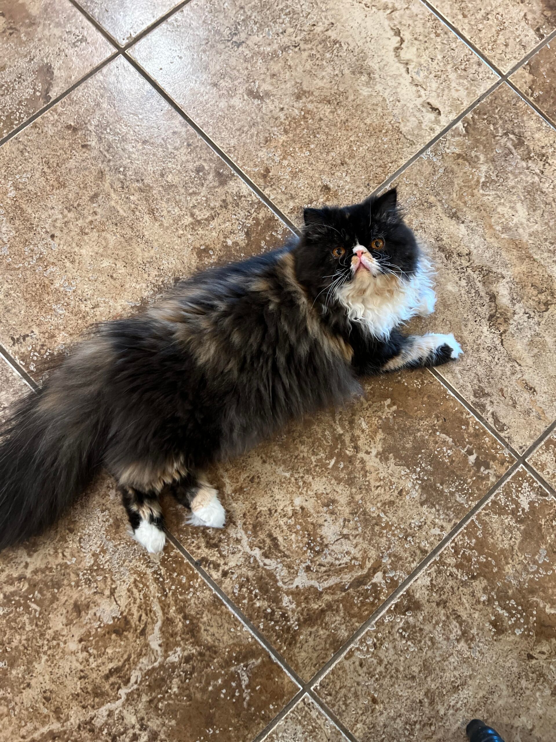 568580c051d9b82b571108e21bc5aa57