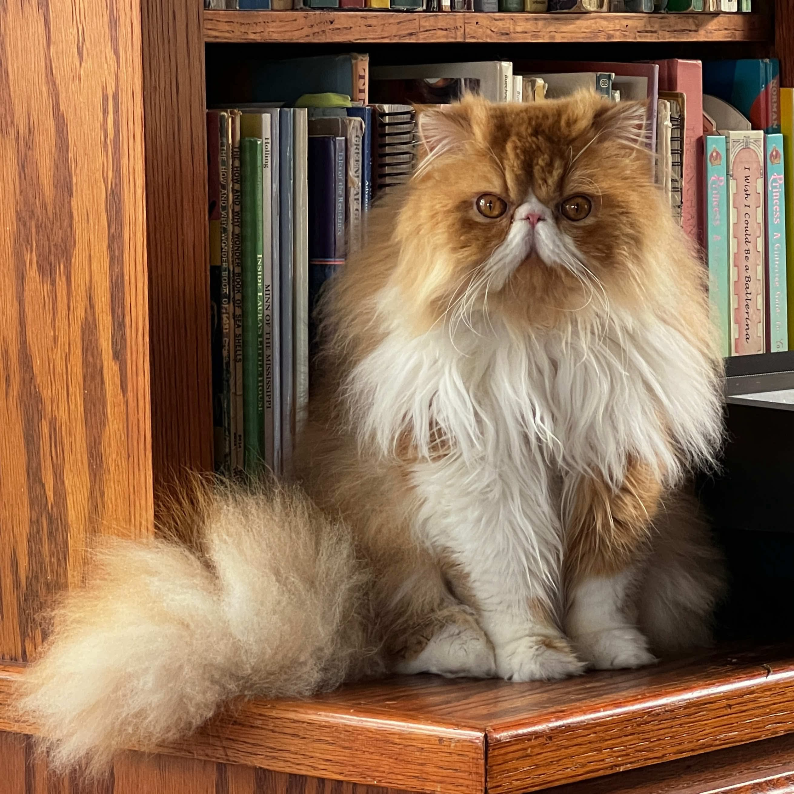 855e99f185a9f1e7d15e005f81dc6f42