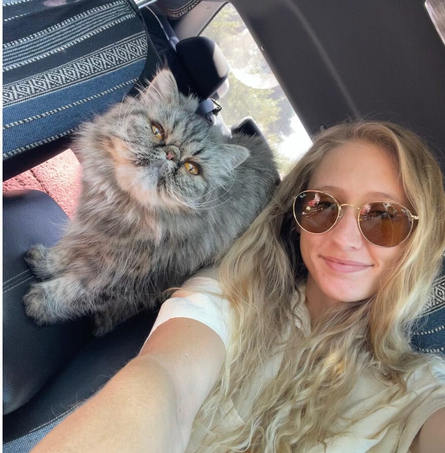 803E49C1-6A7B-400B-9B27-4EEF202D6A49