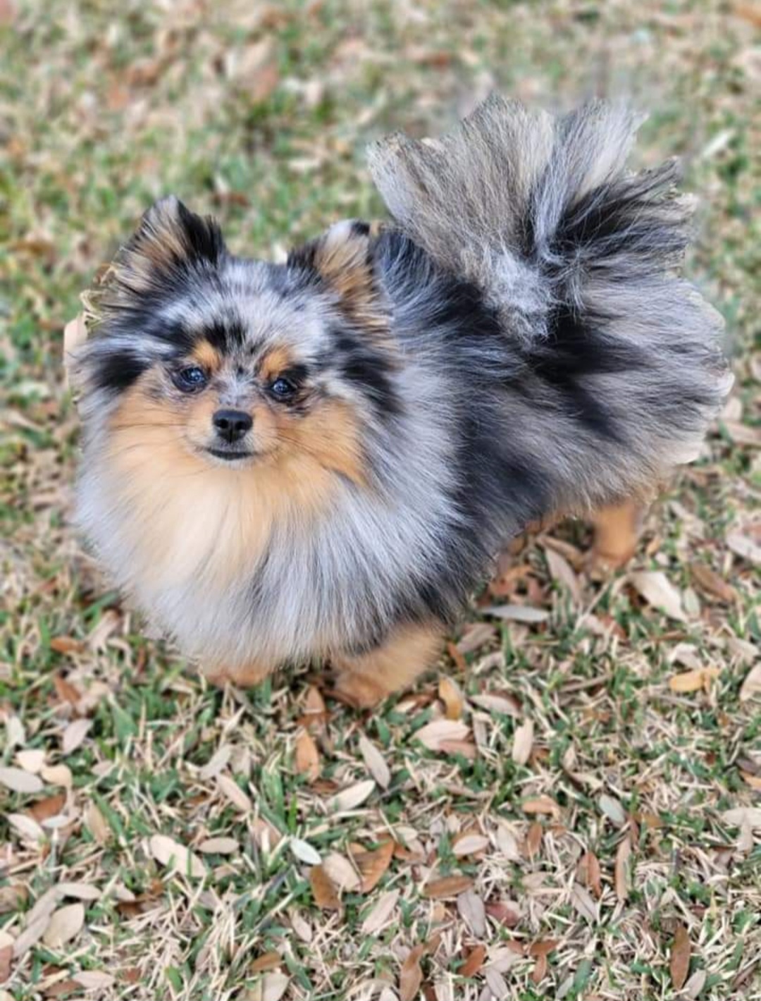 Screenshot_20240119_152628_Facebook